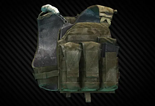 Чехол для бронеплит Crye Precision "AVS" (Tagilla Edition) — предмет Escape from Tarkov